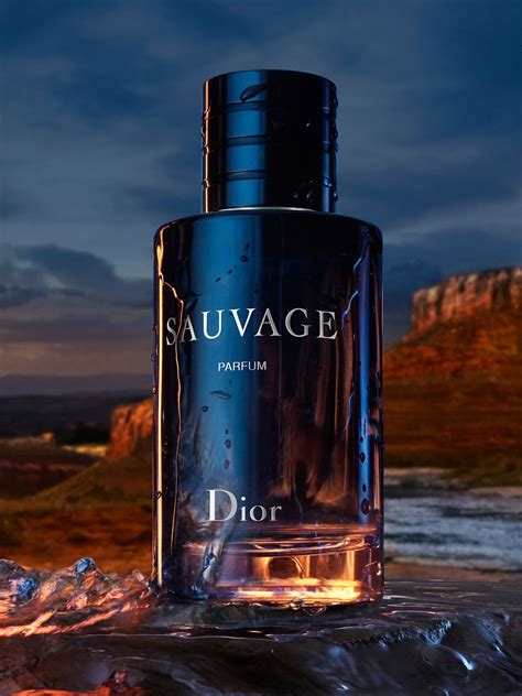 sauvage fragrance